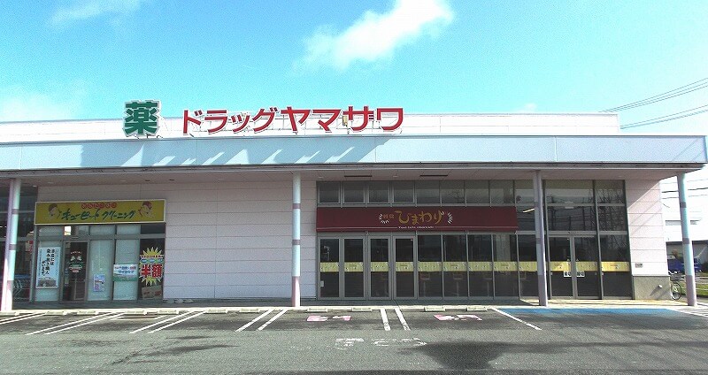 ドラッグヤマザワ川西店